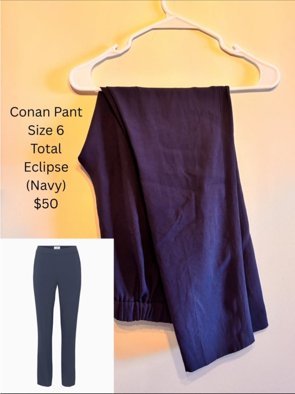 Wilfred Conan Pant in Navy